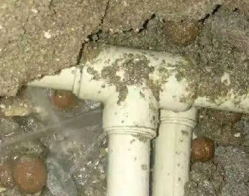 城步测漏水多少钱