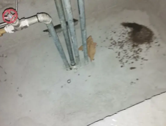 城步卫生间测漏水价格明细