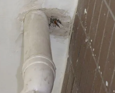 城步漏水检测哪家好